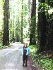 Susan Redwoods Road.jpg